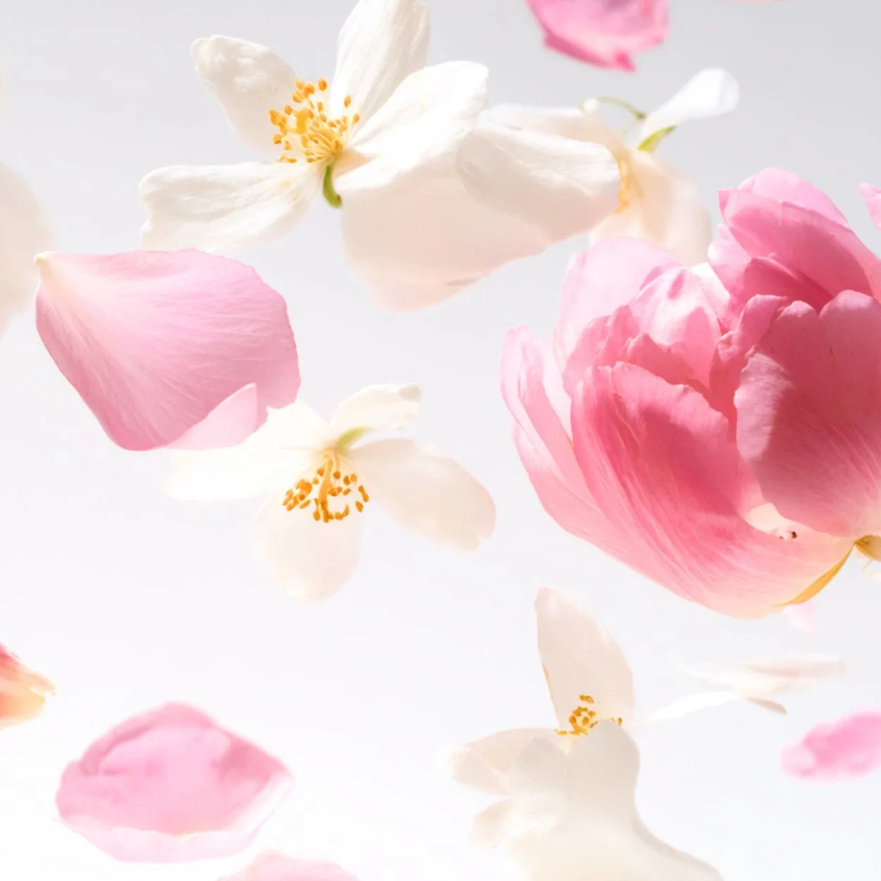 Floral Perfumes