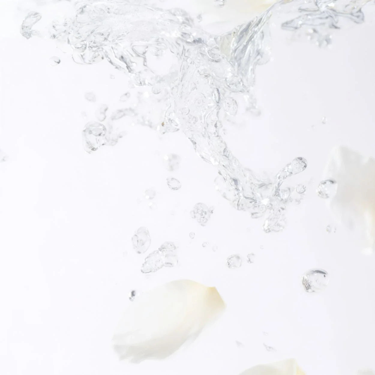 Fresh Perfumes