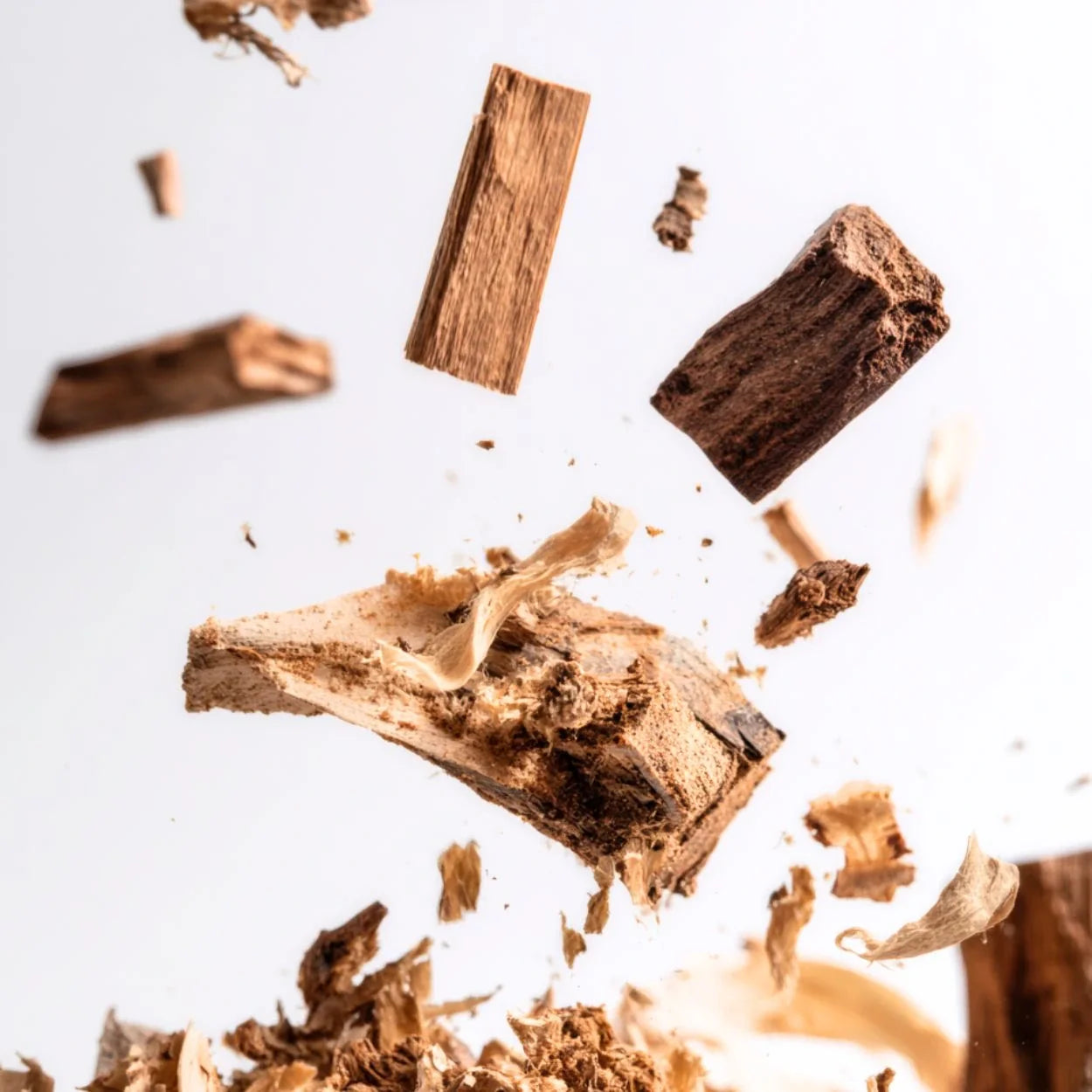 Woody Perfumes