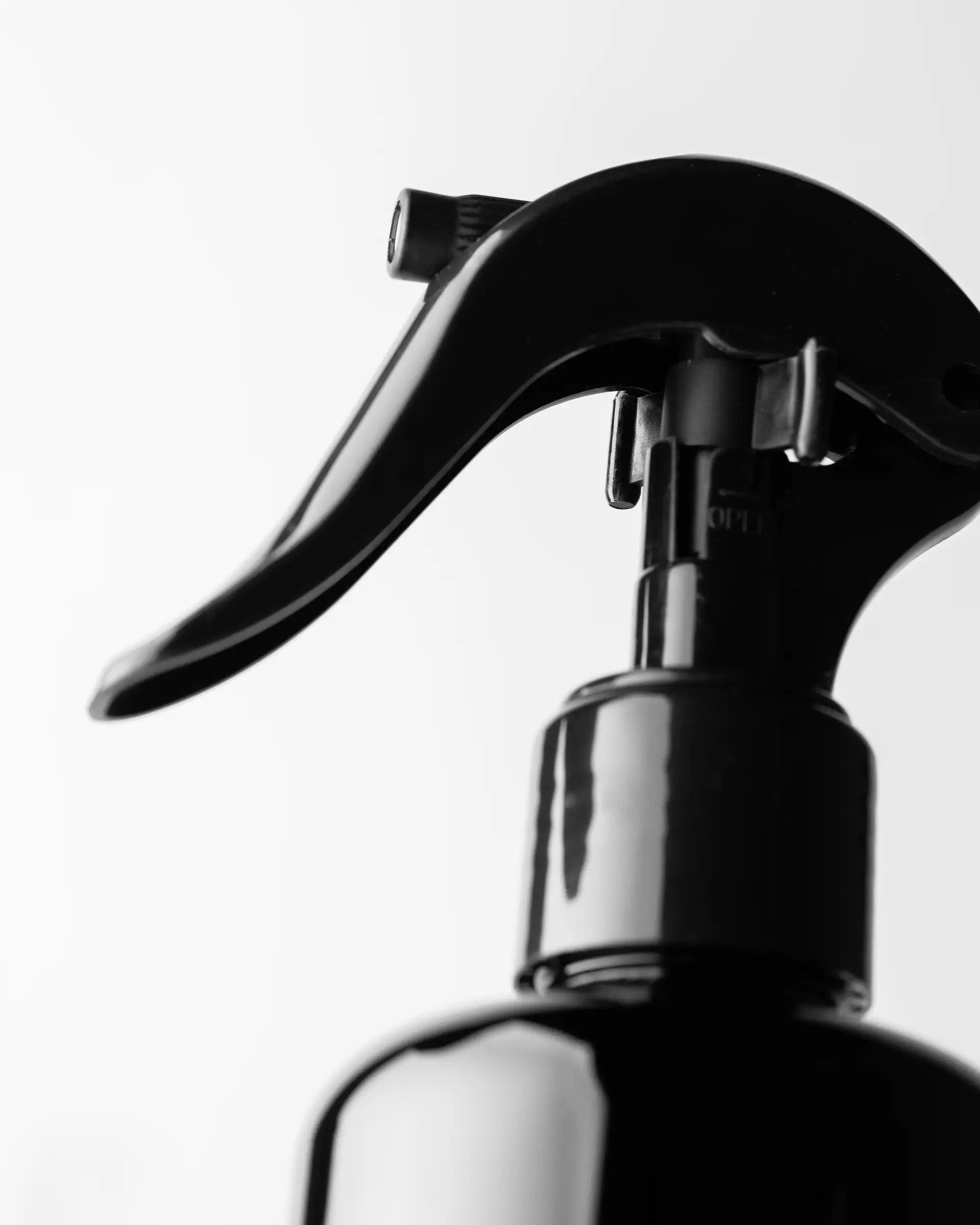 Home Spray Lord Howe - Mer de Tasman